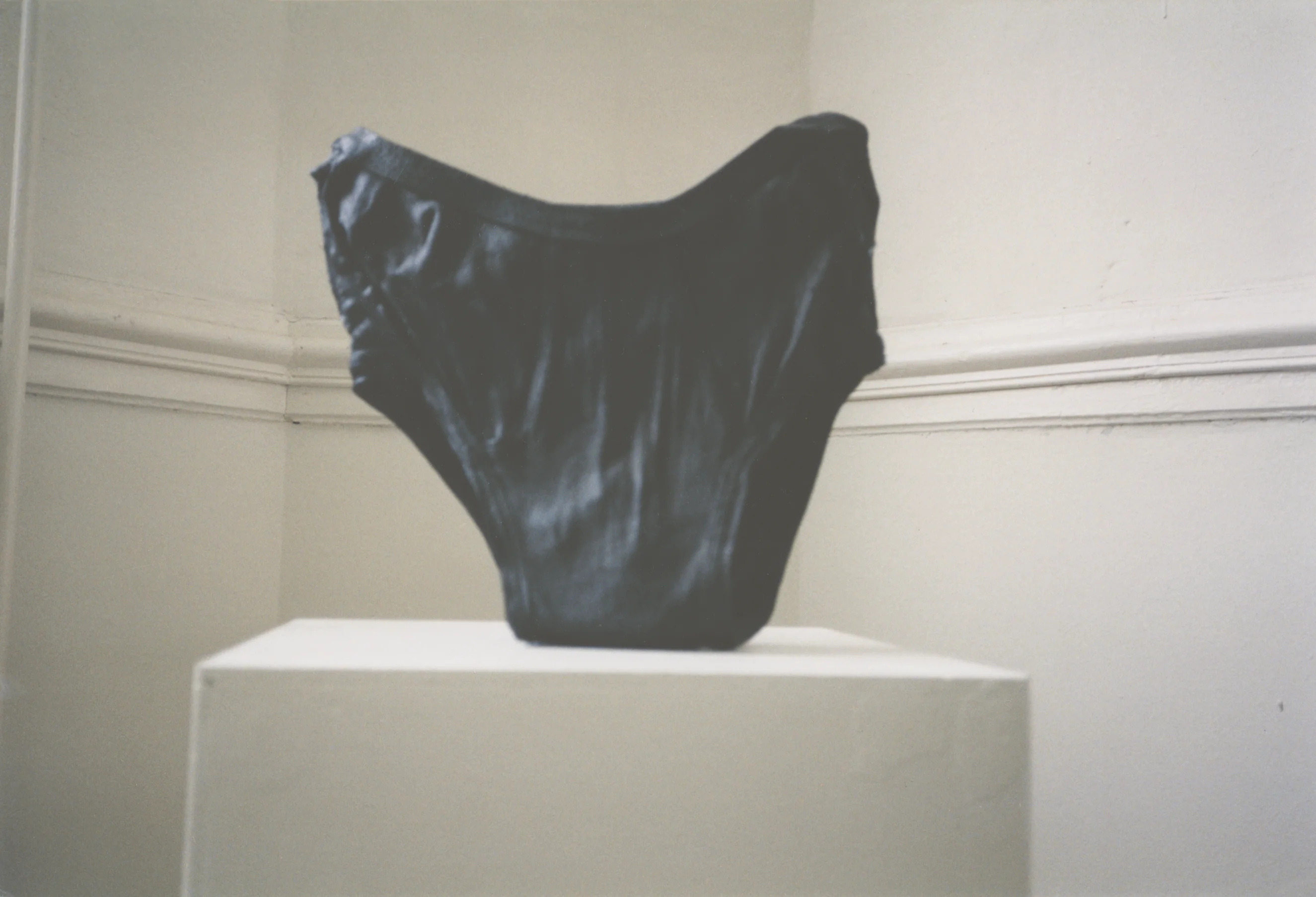 My Father’s Underpants