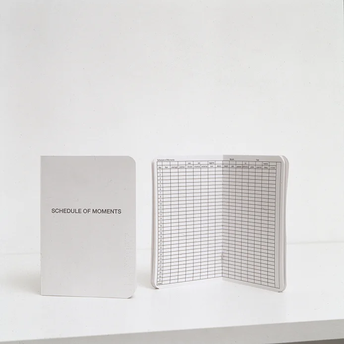 Schedule of Moments (Passport)