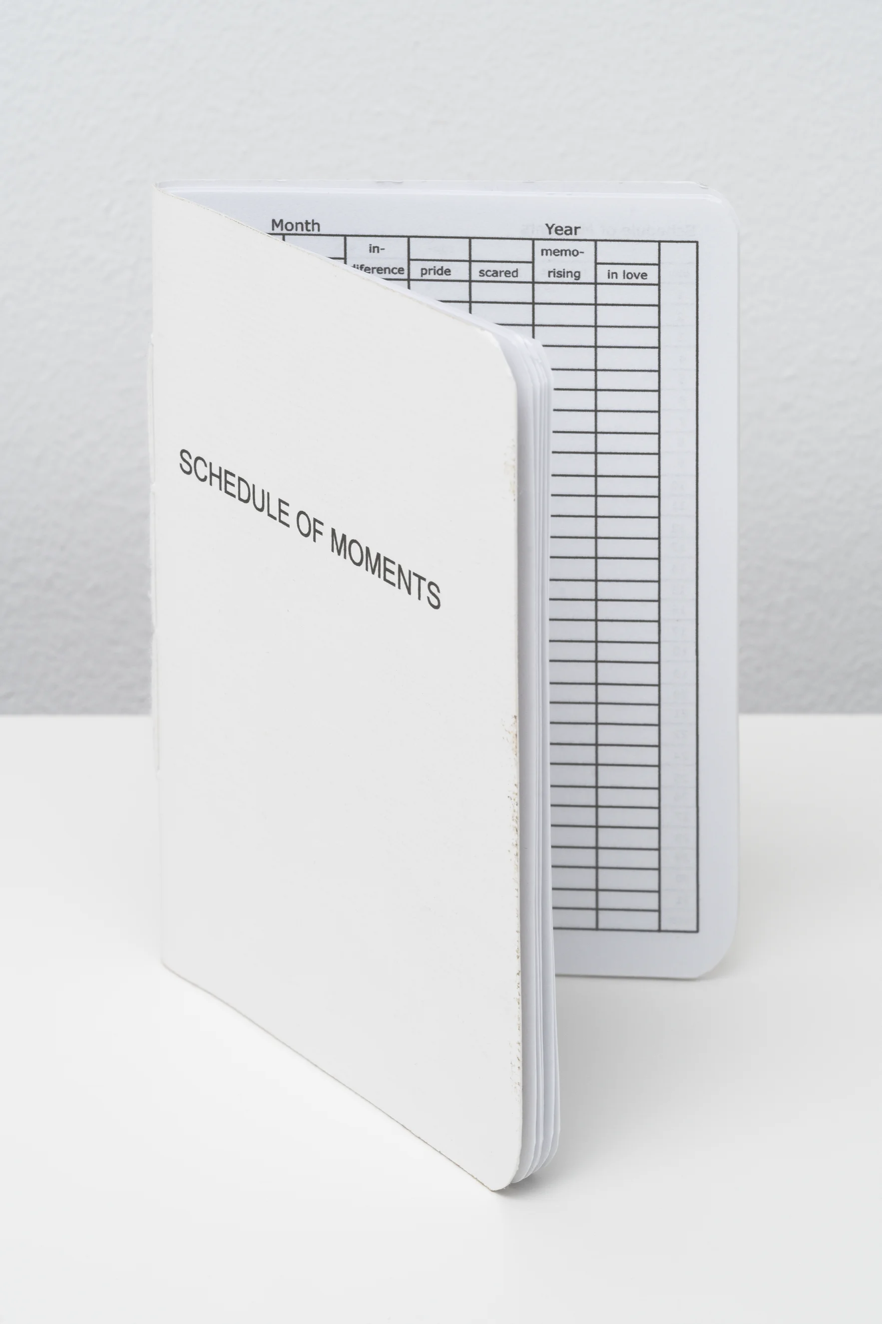 Schedule of Moments (Passport)