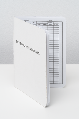 Schedule of Moments (Passport)