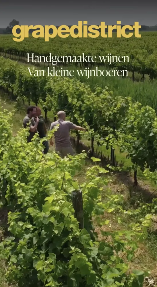 Advertentie met een wijngaard: handgemaakte wijnen van kleine wijnboeren